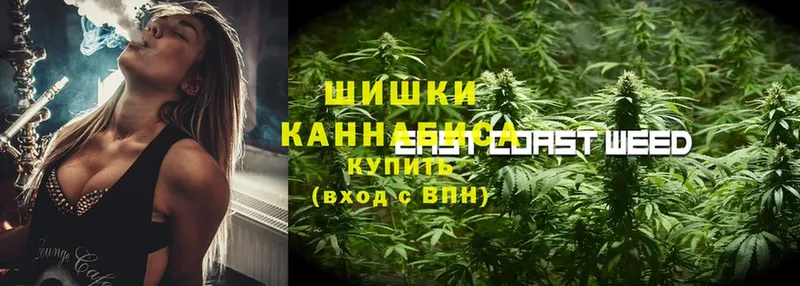 Конопля SATIVA & INDICA  Мамоново 